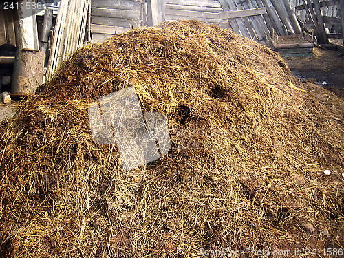 Image of heap of the dung besides the shed