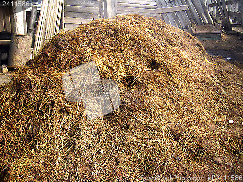 Image of heap of the dung besides the shed