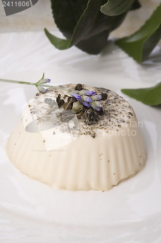 Image of sencha panna cotta