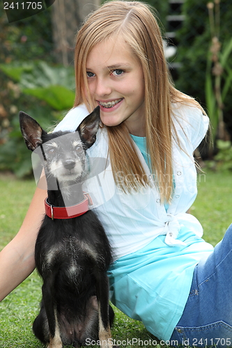 Image of Proud little miniature pinscher dog