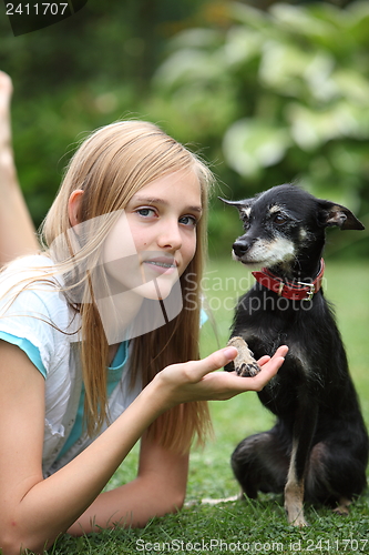 Image of Loving little dog and owner