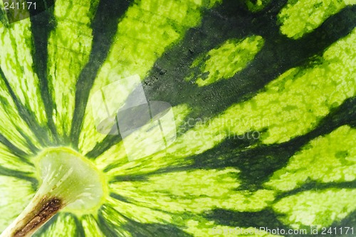 Image of Watermelon texture

