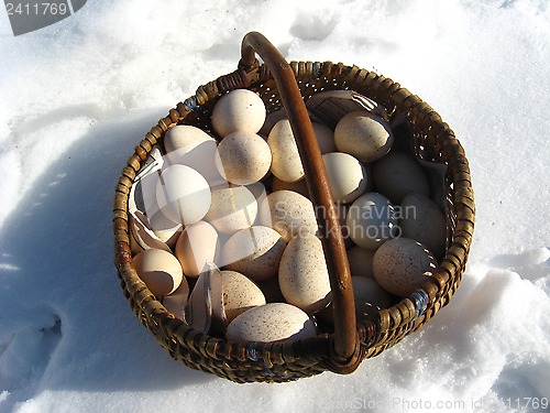 Image of Basket with turkey's eggs