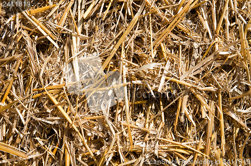 Image of view to straw closeup as background