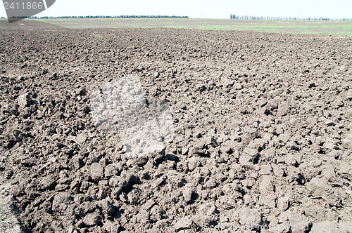 Image of field after harvesting