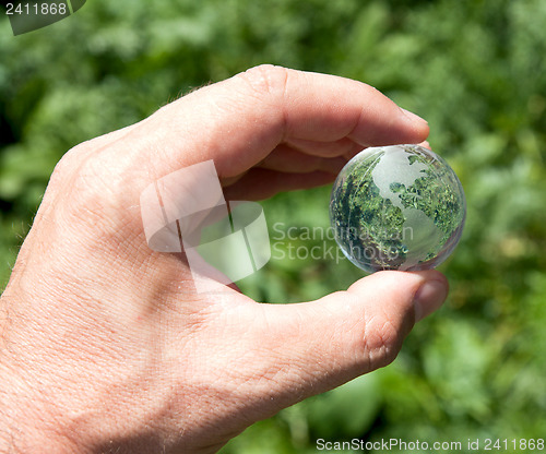 Image of world in hand over green