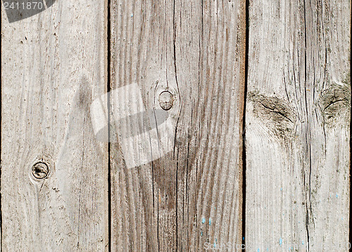 Image of grey wood texture with natural patterns