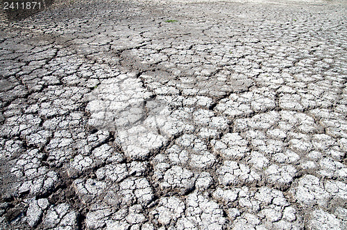 Image of dry cracked earth