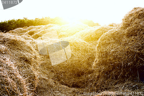 Image of stack of straw