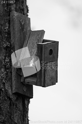 Image of Ruins of a bird house