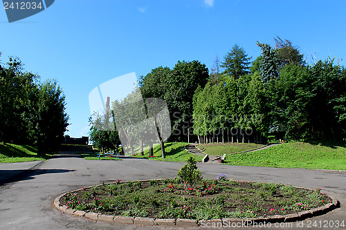 Image of Beautiful park with green trees and path