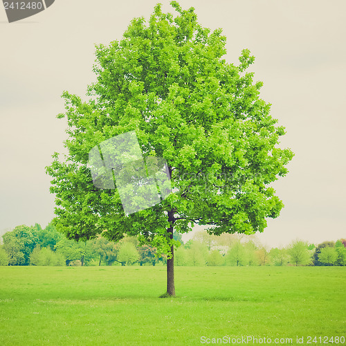 Image of Vintage look Urban Park