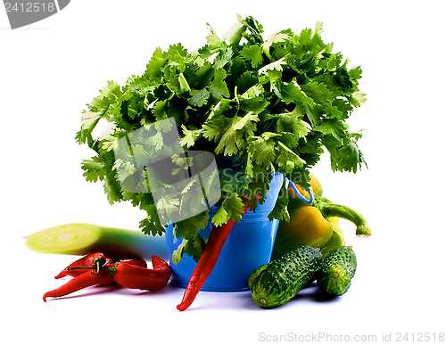 Image of Fresh Vegetables