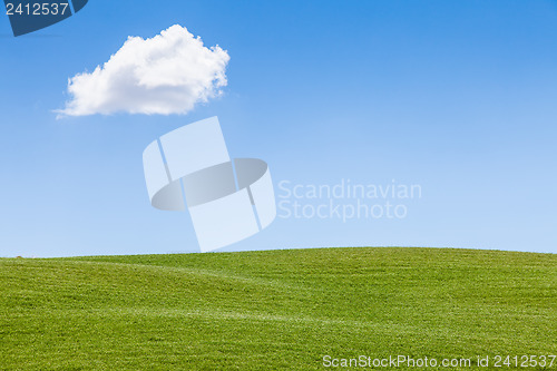 Image of Green field in Tuscany