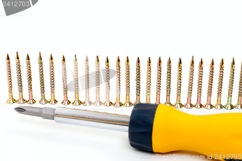 Image of cruciform screwdriver and row of screw