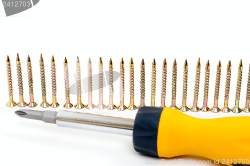 Image of cruciform screwdriver and row of screw