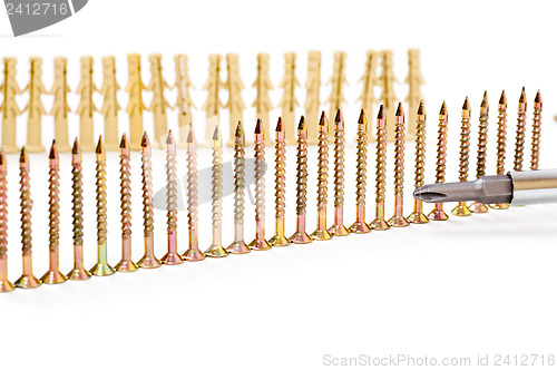 Image of cruciform screwdriver and row of screw