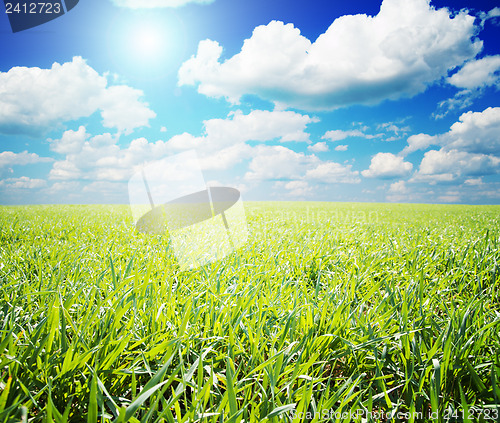 Image of green and blue color nature field with sun