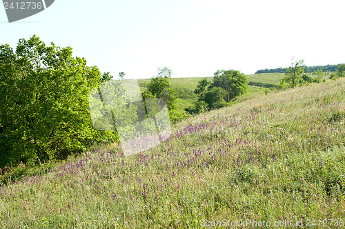 Image of magic hill in nature