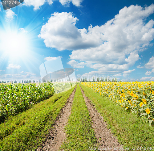 Image of sun and clouds over rural road