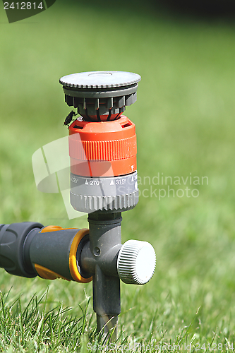 Image of sprinkler in the garden