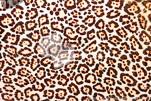 Image of texture of leopard pelt