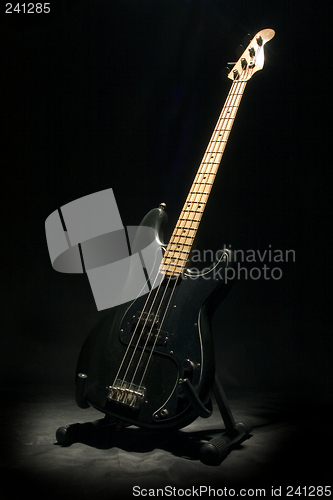 Image of bass