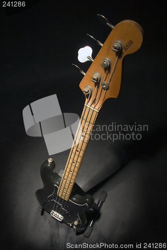 Image of bass 2