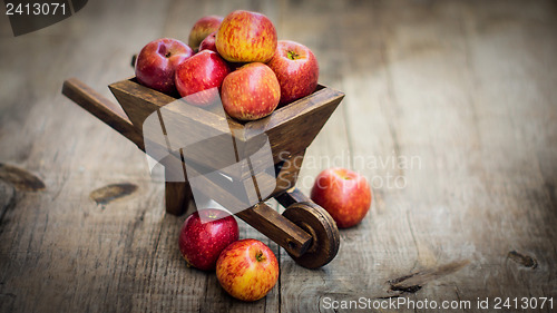 Image of Fresh Red Apples