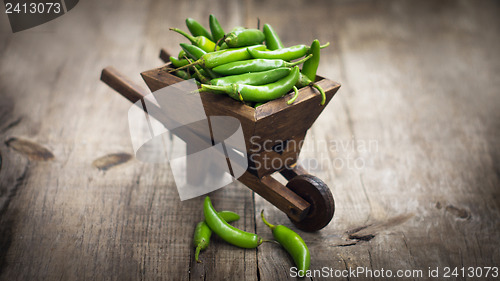 Image of Jalapenos chili pepper in a miniature wheelbarrow