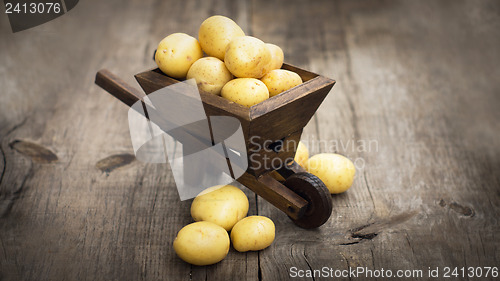 Image of Potatos in a miniature wheelbarrow