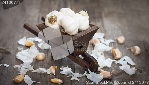 Image of Garlic Cloves in a miniature wheelbarrow