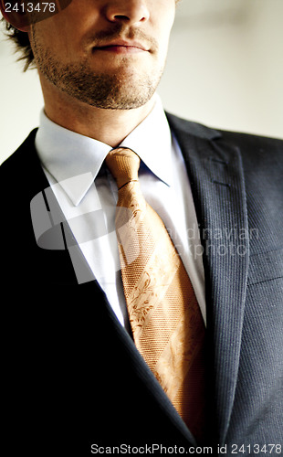 Image of Welldressed businessman closeup of suit