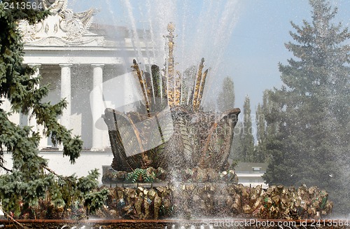 Image of Fountain Stone Flower