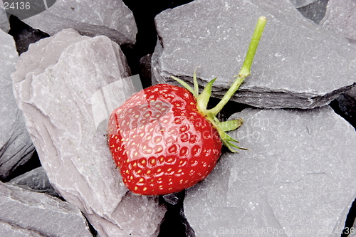Image of Strawberry slate