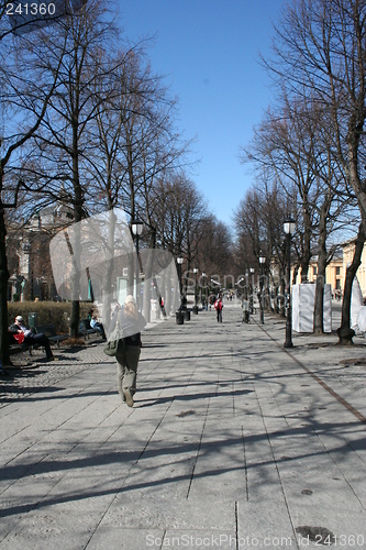 Image of Spring in city
