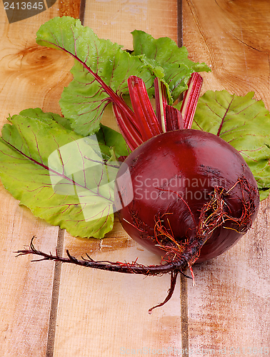 Image of Beetroot