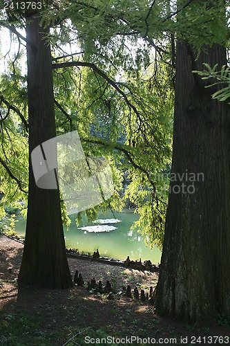 Image of Zagreb Botanical Garden