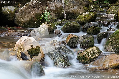 Image of River