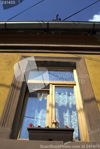 Image of window and flowers