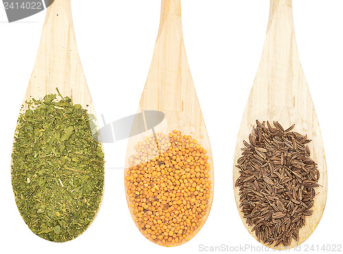 Image of spices