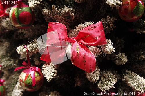 Image of Christmas tree