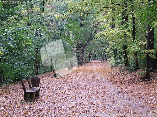 Image of Autumn in the park