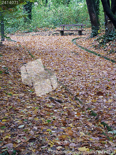Image of Autumn in the park