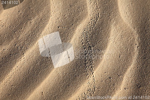 Image of Wind textures on sand in Sahara 