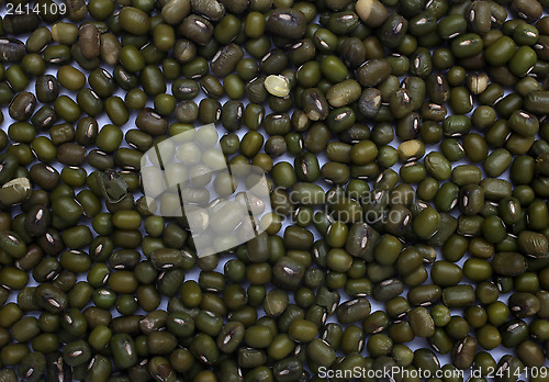 Image of Mung Beans