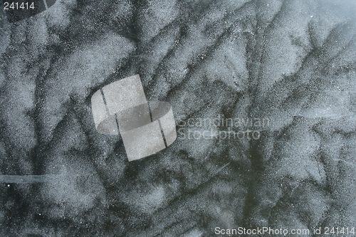 Image of Abstract frosty pattern on ice