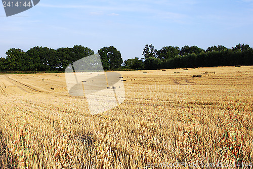 Image of Straw bales in a harvested farm field