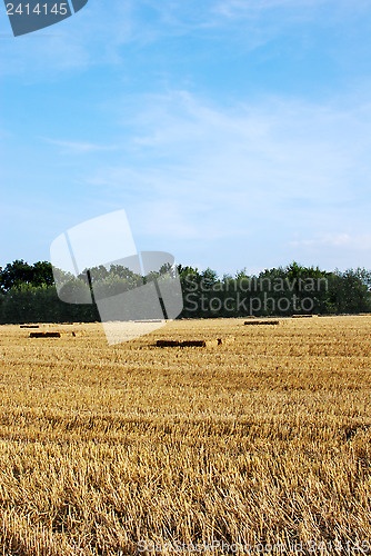 Image of Straw bales in a field with blue sky above