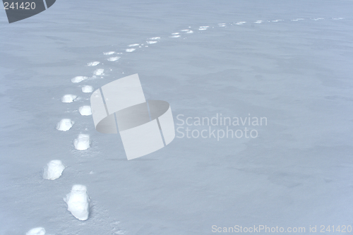 Image of Footprints path in the snow